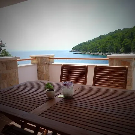 Zeljko Appartement Gdinj