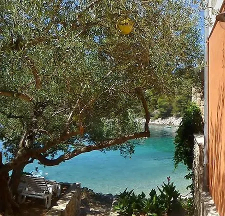 Apartman Zeljko *