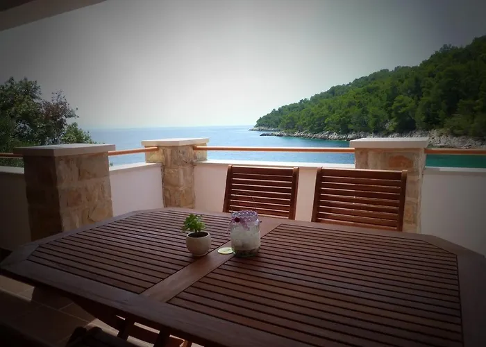 Zeljko Apartman Gdinj